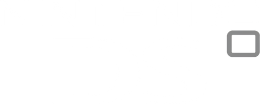 Nintendo DS